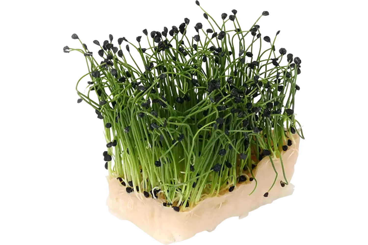 Rock chives cress duo topseal kist 14 stuks